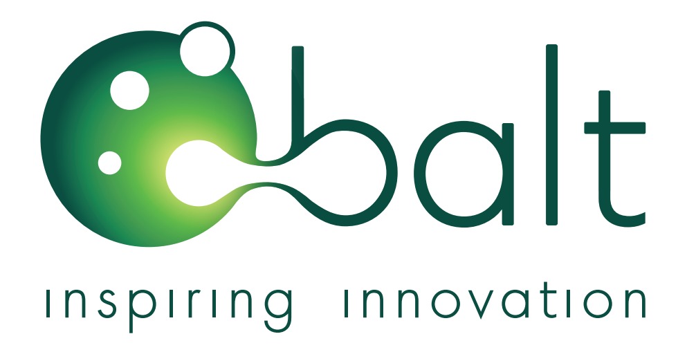 BALT Logo